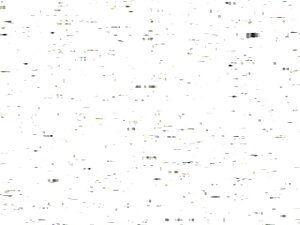 二人の女性ラフハードレズビアンのメンバー ...
