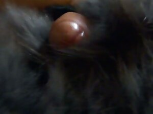 よく犯さ女の子と精液で膣 女の子 の た ...