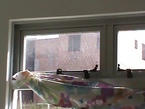 大きな毛膣によって成熟した女性 女性 が ...